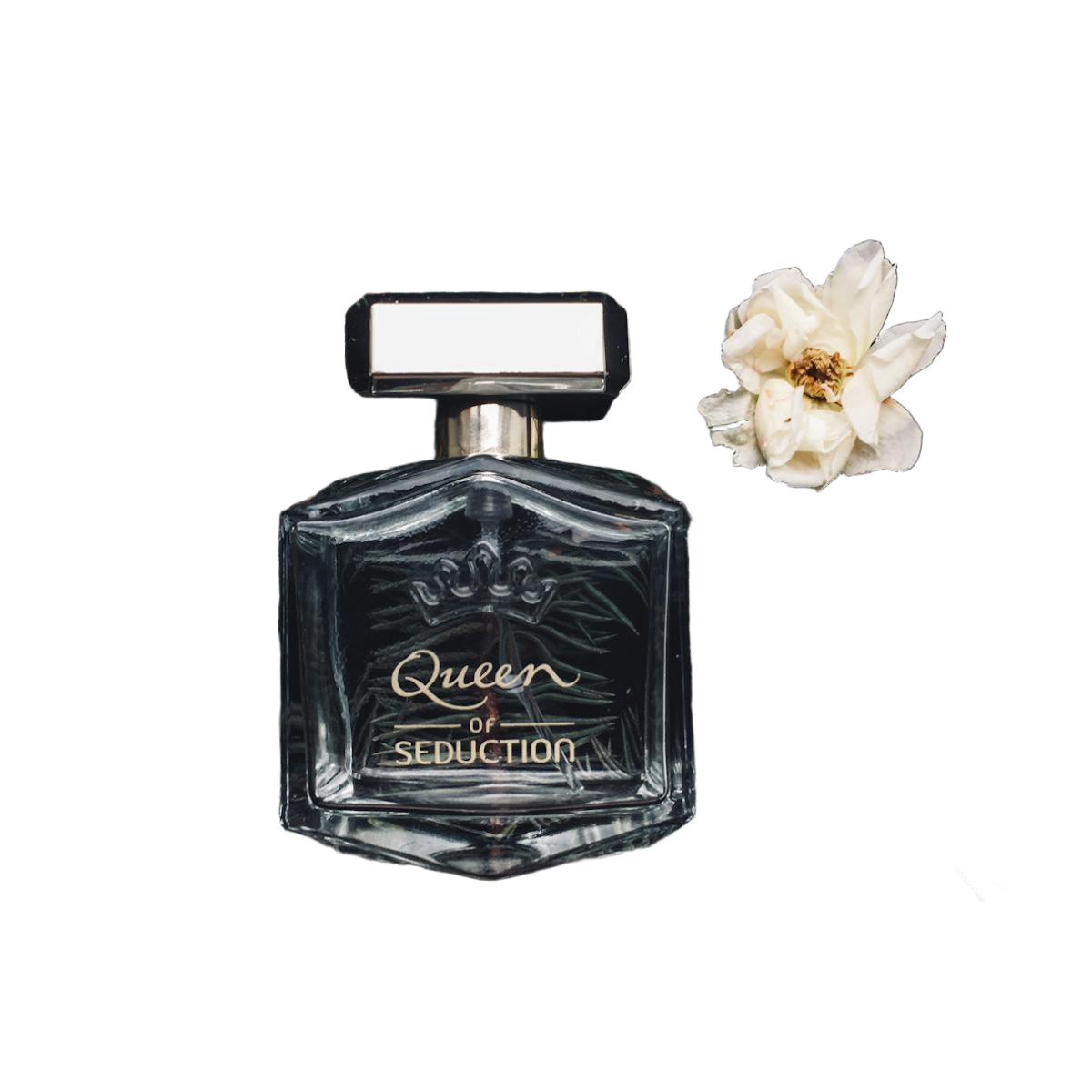 Perfume — background removed